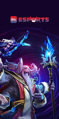 IM Esports banner featuring two fantasy game characters, one wielding a magical staff with a glowing blue crystal and another with a bow, set against a dark background with neon circular patterns.