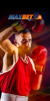 MaxBet sports banner with male boxer in red gloves at MWIN8 online sports betting platform